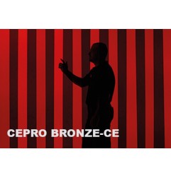 CEPRO SCHWEISSLAMELLEN - ORANGE-CE / GRÜN 6 / GRÜN 9/ BRONCE - EN ISO 25980 - 26.25.XXX -  -  - 16,08 € - 