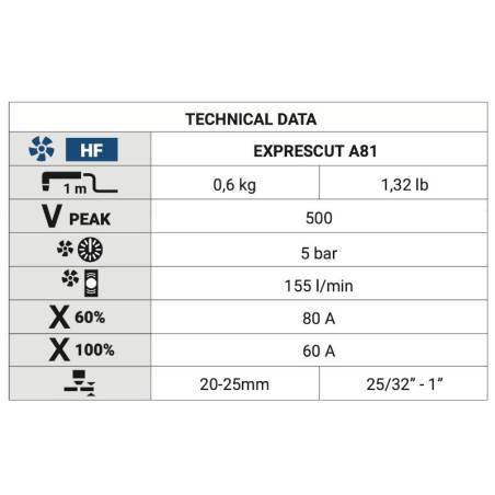 PLASMASCHNEIDBRENNER EXPRESCUT A81 6M   --Variante--1/4 G