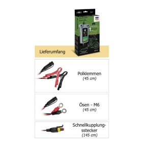 GYS Gysflash Lithium 1.12 - 029675 - 029675 - Ladegerät für 12V Lithium-Eisen-Phosphat (LiFePO4) Batterien. • Zur Ladungserhaltu