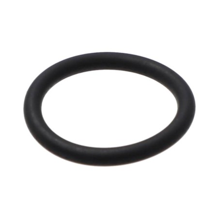 FRONIUS O-Ring ø18,5x2,5mm FKM 70