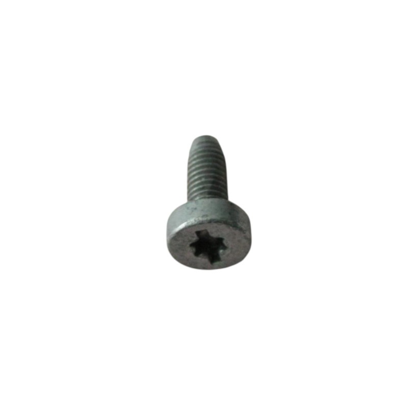 Fronius - Schraube M5x12 Torx Gr