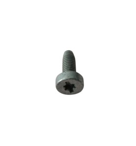 Fronius - Schraube M5x12 Torx Gr - 42,0401,1118 -  - 9007946914027 - 0,66 € - 