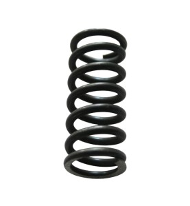 Fronius - Druckfeder Fe 41x2,5mm - 42,0404,0384 - 42,0404,0384 -  - 9007946884696 - 5,83 € - 