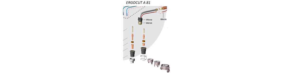 Verschleissteile Set A81